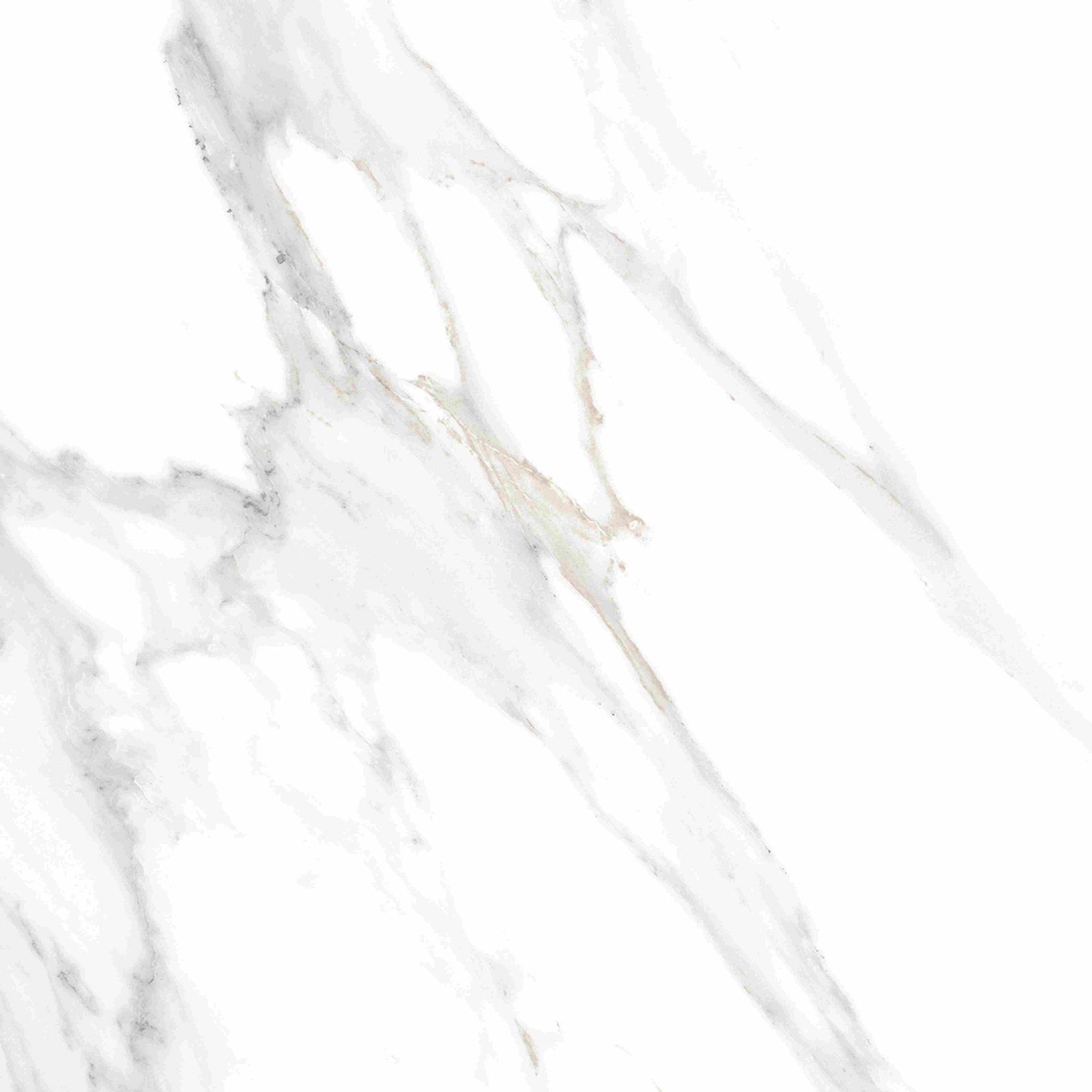 ASIA TILE 40X40 VIRGINIA GREY